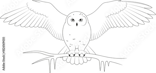 Majestic snowy owl perched on an icy branch with wings spread wide open