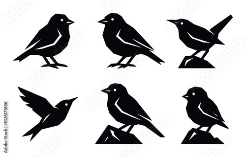 Silhouettes of various birds in different poses on dark background