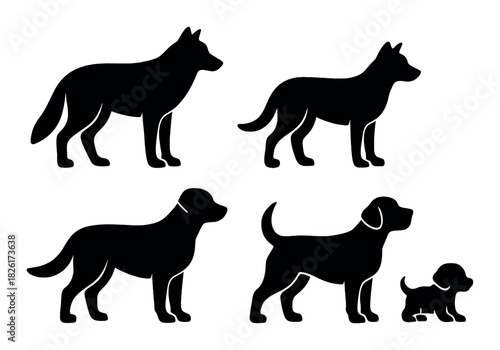 Silhouettes of canine breeds: patterns of canine shapes and sizes