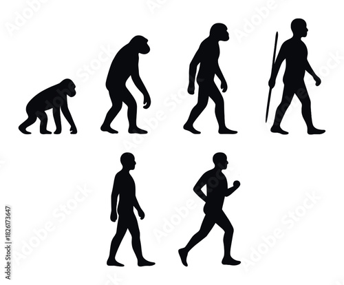 Silhouette evolution progression from primate to modern human