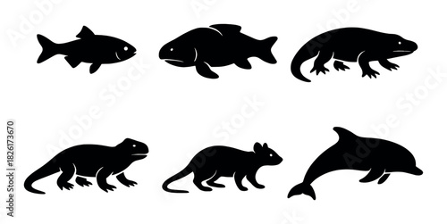 Silhouettes of aquatic and terrestrial animals on black background