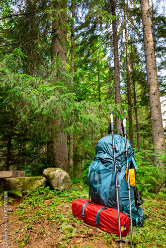 Summer hike with a backpack in the mountains, a rest stop in the forest on the trail.