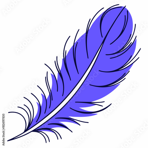 feather isolated on white