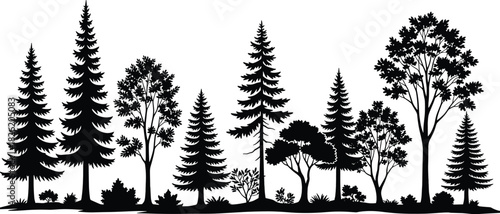 Black silhouette forest landscape with various evergreen and deciduous trees and bushes