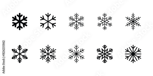 Vector snowflake icons on clean background