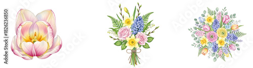 Watercolor illustrations of various floral arrangements and a single tulip blossom design art on transparent background