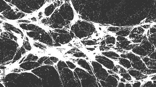 Abstract Black and White Organic Web Texture Pattern background