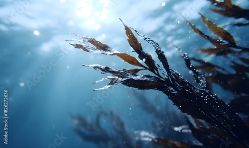  underwater scene featuring dense black algae strands gently flowing in marine currents, deep ocean blue environment, soft rays of sunlight penetrating from above, tiny air bubbles rising, glossy wet 