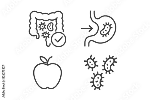 Human digestive system anatomy with beneficial bacteria, probiotics, and healthy food symbols