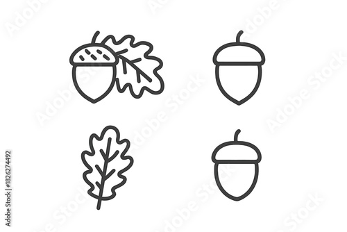 Thin line style set of autumn nature elements including acorns and oak leaves