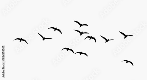 Minimalist flock of birds silhouetted against a bright white sky background