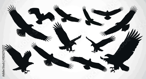 Collection of eagle silhouettes in various poses against a white background
