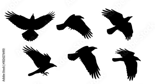 Set of six raven silhouettes in flight against a white background