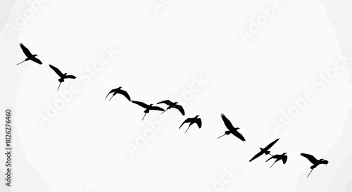 Flock of birds flying in formation against a white sky background