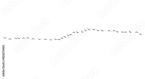 Ant colony trail black and white illustration of ants following a path