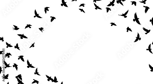 Silhouette of birds flying in a swarm against a white background