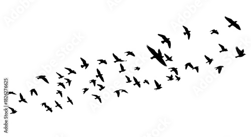 Silhouette of a flock of birds flying together in formation against white sky