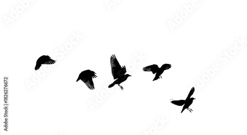 Minimalist black and white silhouette of birds flying in a white sky