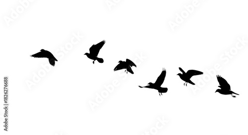 Silhouette of birds flying against a white background in a minimalist style