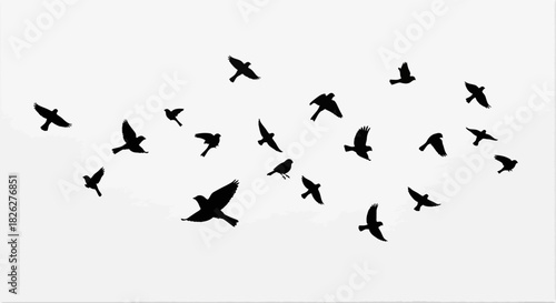 Silhouettes of birds flying against a white background creating a minimalist design
