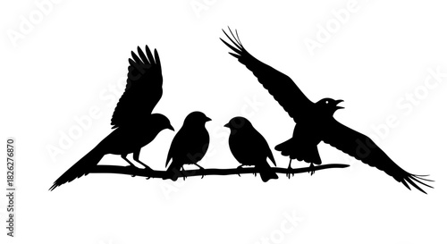 Silhouette of birds perched and flying on a branch in black and white
