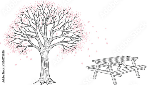 Spring blossoming tree with falling petals beside wooden picnic table, detailed line art nature scene for seasonal outdoor park vector illustration design