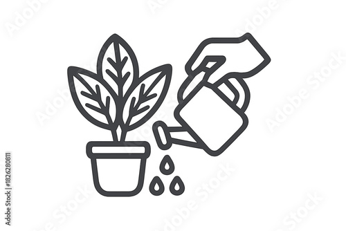 Hand holding watering can pouring water onto a small potted houseplant for growth