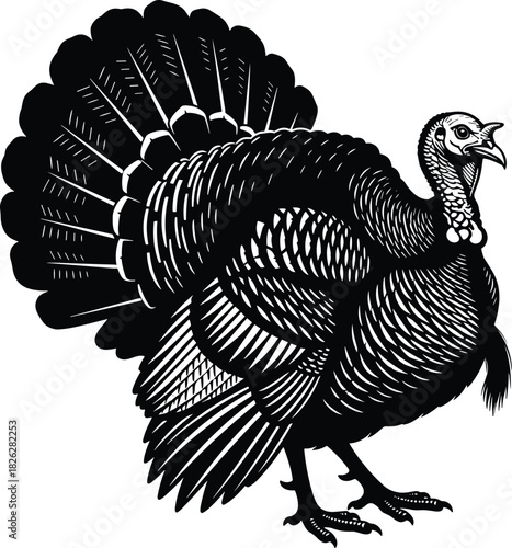 Raven wings spread silhouette, frontal bird flight sketch, feather symmetry illustration design, dark animal vector art, cad drawing flat vector illustration