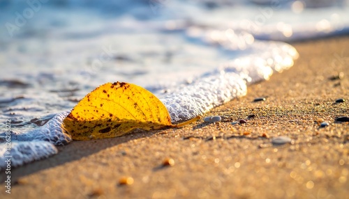 Fototapeta Naklejka Na Ścianę i Meble -  A single yellow leaf sits on a sandy beach as a wave washes over it in the sunlight