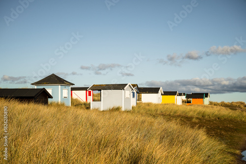 Fototapeta Naklejka Na Ścianę i Meble -  colorful beach huts in tall coastal grass on the Baltic Sea coast
