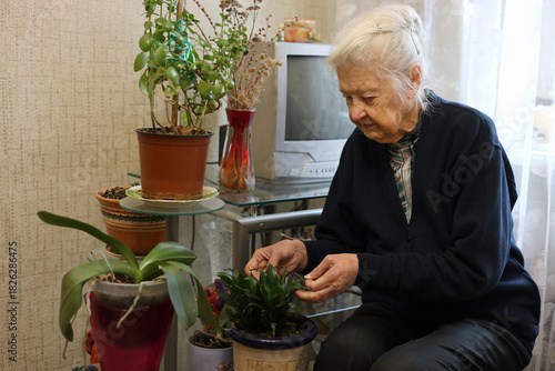 Senior woman watering flowers in her apartment.