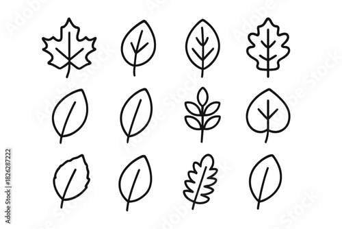 Minimalist outline leaf symbols collection representing nature and ecology