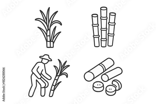 Sugarcane plant, harvested stalks, farmer working, and processed sugar pieces
