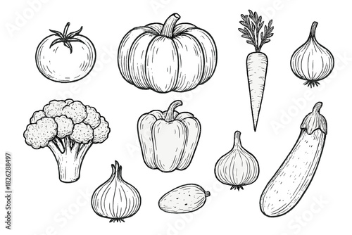 Detailed collection of fresh organic vegetables in vintage hand drawn sketch style