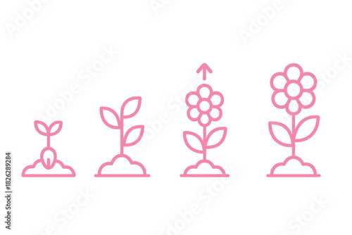 Sequential stages of plant development from seed germination to full bloom