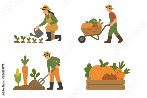 Farmers planting, digging, and harvesting fresh organic vegetables in the garden