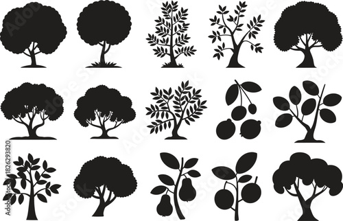 Silhouette Tree and Fruit Icons Set. Fruit Trees, Olives, Pears, Botanical Vector Illustration