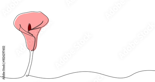 Drawing of a pink calla lily flower on a stem in one line art style. Flower illustration with editable stroke. Vector illustration.