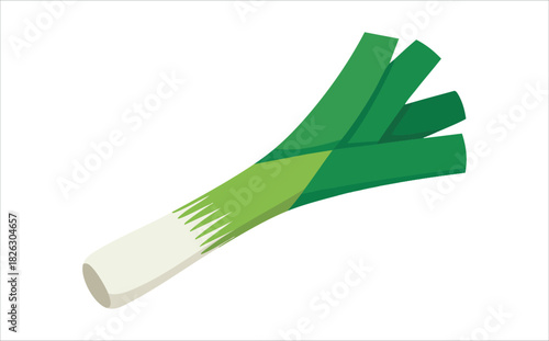 fresh green leek vegetable isolated vector illustration on white background