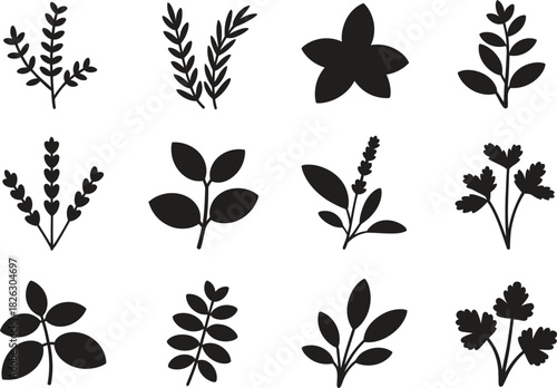 Silhouette Herb Icons Set. Leaves, Natural Plants, Culinary Herbs Vector Illustration