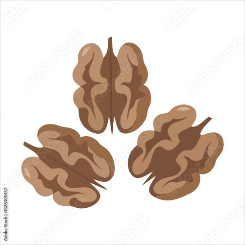 Whole walnut nuts with shells and kernel pieces isolated vector illustration on white background