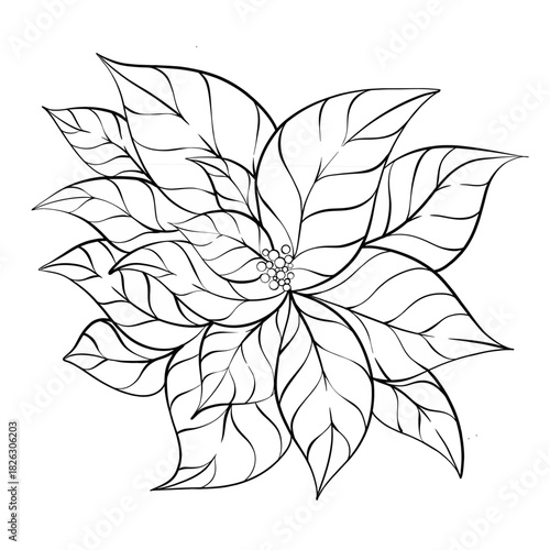 Poinsettia Black and White Christmas Flower Art, Holiday Botanical Drawing, Minimalist Floral Design, Seasonal Decor, Winter Plant, Hand Drawn Flower Elegant Outline