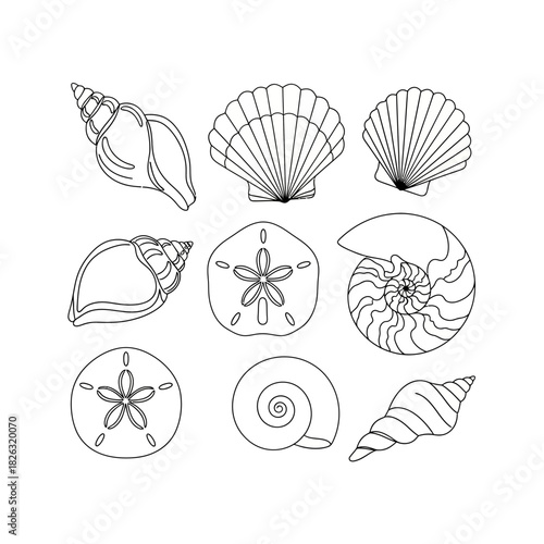 Illustration of collection of various seashell outlines