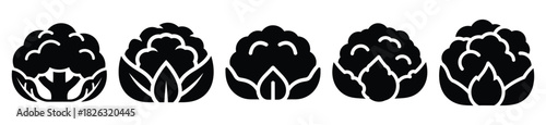 set of  cauliflower head icon vector illustration isolated on white background