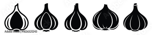 set of  garlic clove icon vector illustration isolated on white background