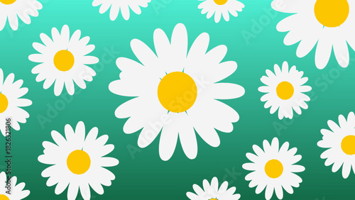 8k White daisies with yellow centers floating against a teal gradient background.