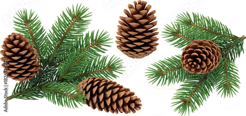Pine cones and evergreen branches - a close-up view of nature's winter adornments