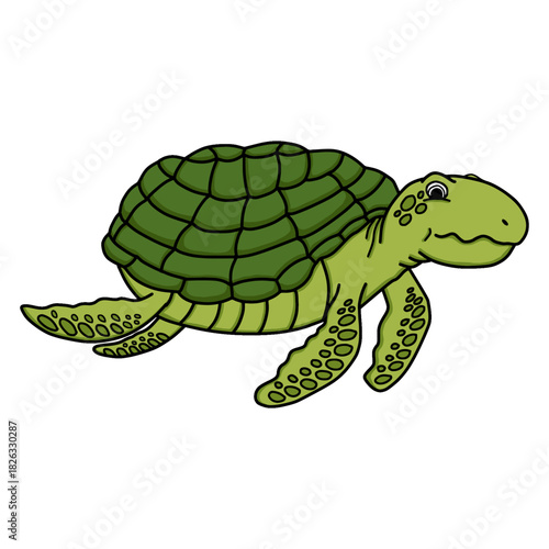 Green sea turtle cartoon vector illustration. Isolated vector illustration for children's books, nursery decor, and logos
