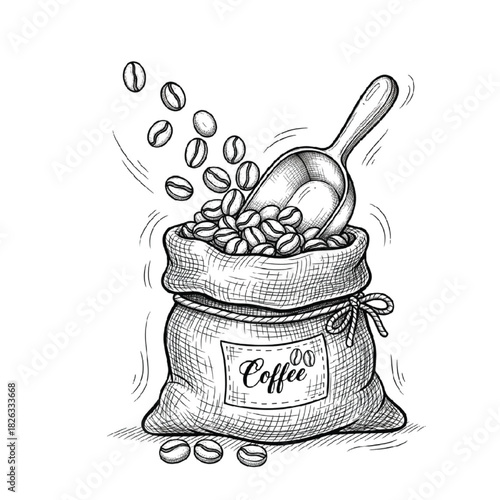 Hand-drawn sketch of aromatic coffee beans being scooped into a rustic burlap bag, illustrating the fresh preparation and rich flavor profile for brewing