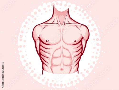 Anatomical Perfection Detailed Vector Illustration of Muscular Human Torso Emphasizing Strength and Fitness Against Soft Speckled Background